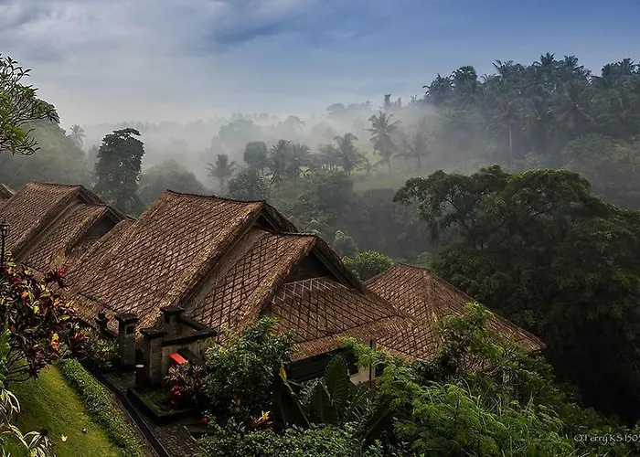Villa Bali Masari & Ubud