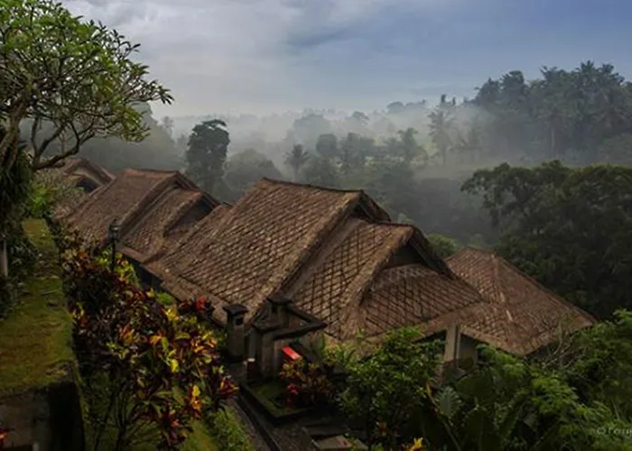 Villa Bali Masari & Ubud *
